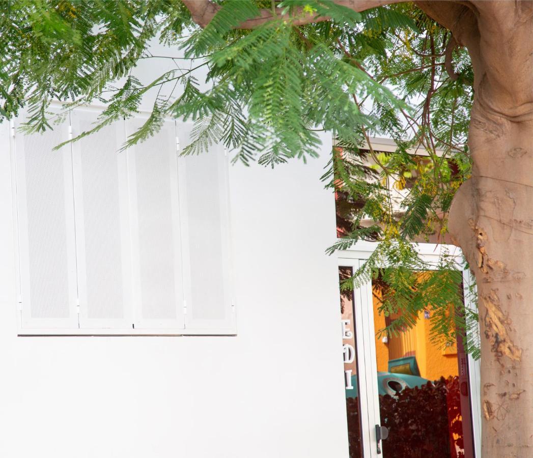 Apartamento EDI Astoria Santa Cruz de Tenerife Exterior foto